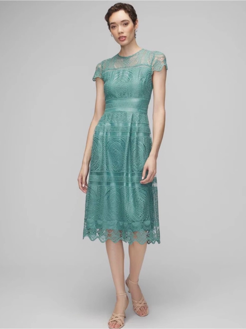 White House Black Market Embroidered Lace Fit n’ Flare Agave Green Dress 8